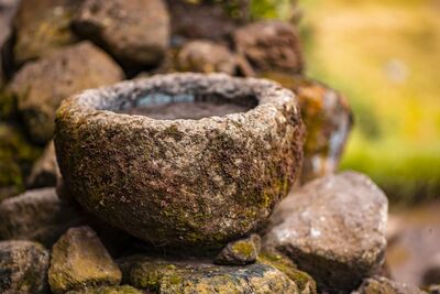 Eine Steinschale die in der Natur steht und Wasser beinhaltet